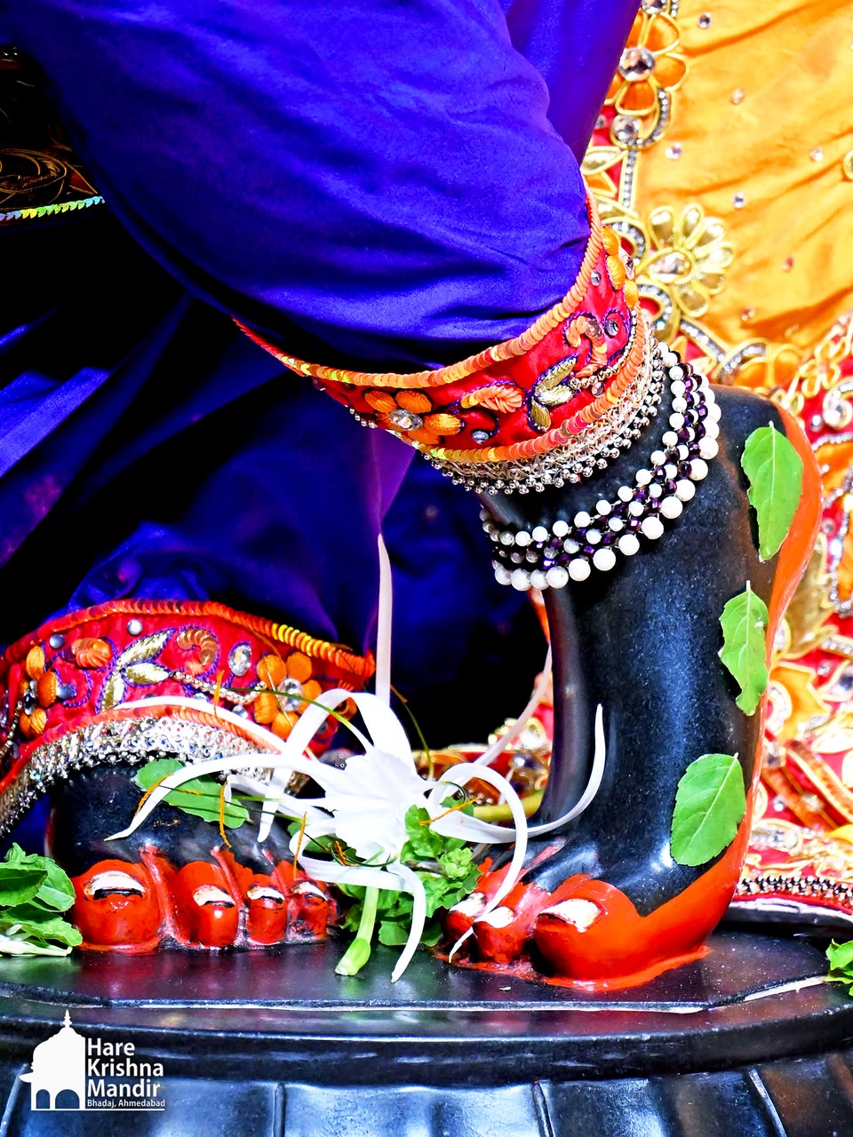 2026-08-20 Darshan